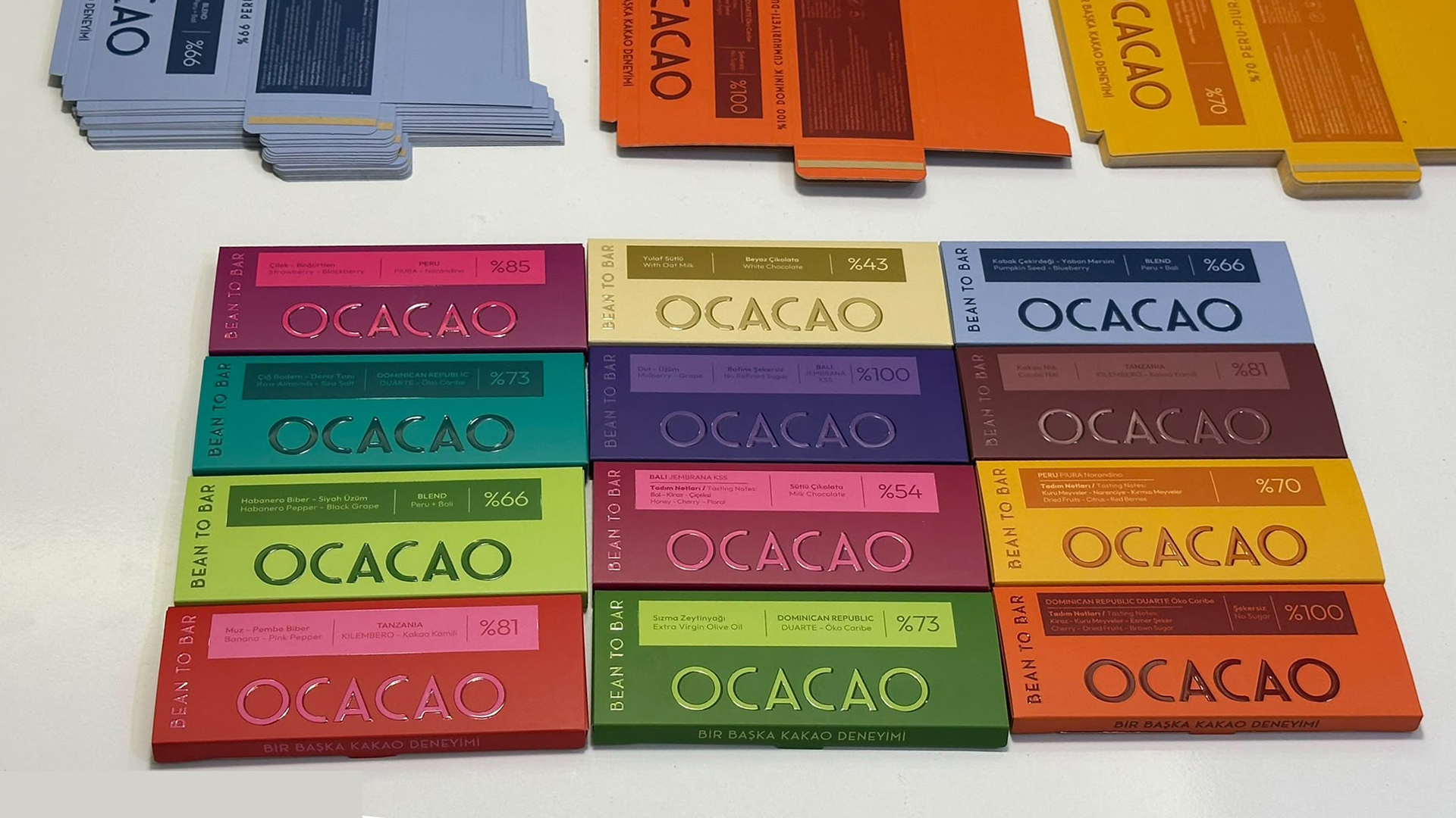 OCACAO — Basılı İşler / Tasarım uygulamaları 3